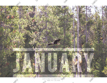 Load image into Gallery viewer, 2026 Monthly Calendar - Animals