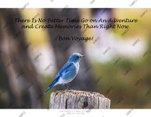 Load image into Gallery viewer, 2026 Monthly Calendar - Animals