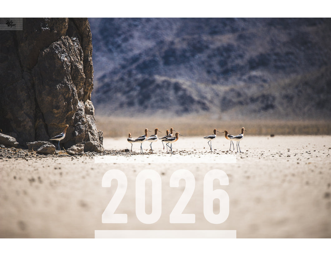 2026 Monthly Calendar - Animals