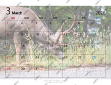 Load image into Gallery viewer, 2026 Monthly Calendar - Animals
